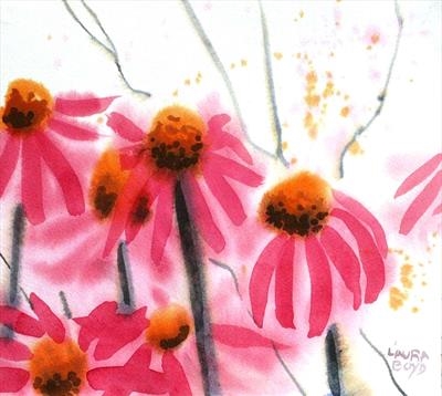 cone flowers