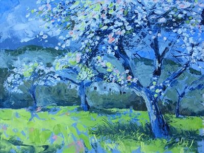 Apple Blossom, Devon Village