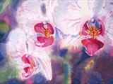 Orchids III by Laura Boyd, Painting, Watercolour