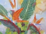 Strelitzia II by Laura Boyd, Painting, Watercolour