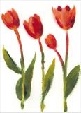 Tulipfest 2 by Laura Boyd, Painting, Monoprint