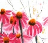 cone flowers by Laura Boyd, Painting, Watercolour on Paper