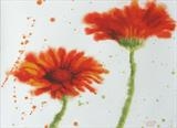 orange gerberas 1 by Laura Boyd, Painting, watercolour and gouache