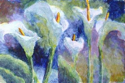 Arum Lillies