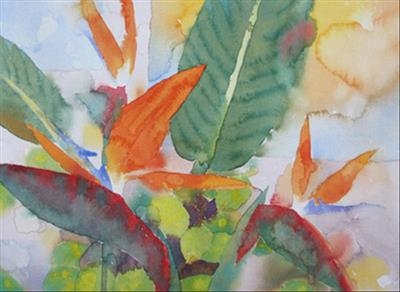 Strelitzia II