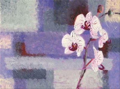 orchid love by Laura Boyd - Painting  Oil on Board